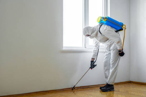 Best Cockroach Control Services  in Holiday Shores, IL