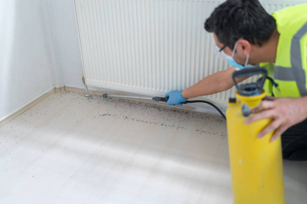 Best Pest Removal Services  in Holiday Shores, IL