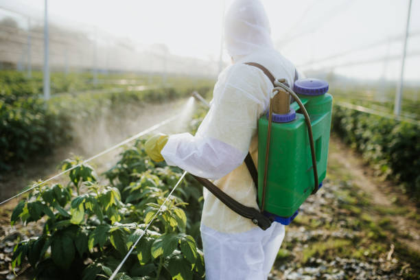 Professional Pest Control in Holiday Shores, IL